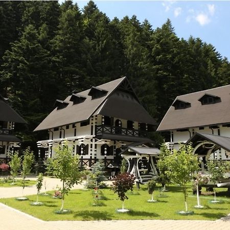 Complex Lions Bucovina Hotel Voronet Exterior photo