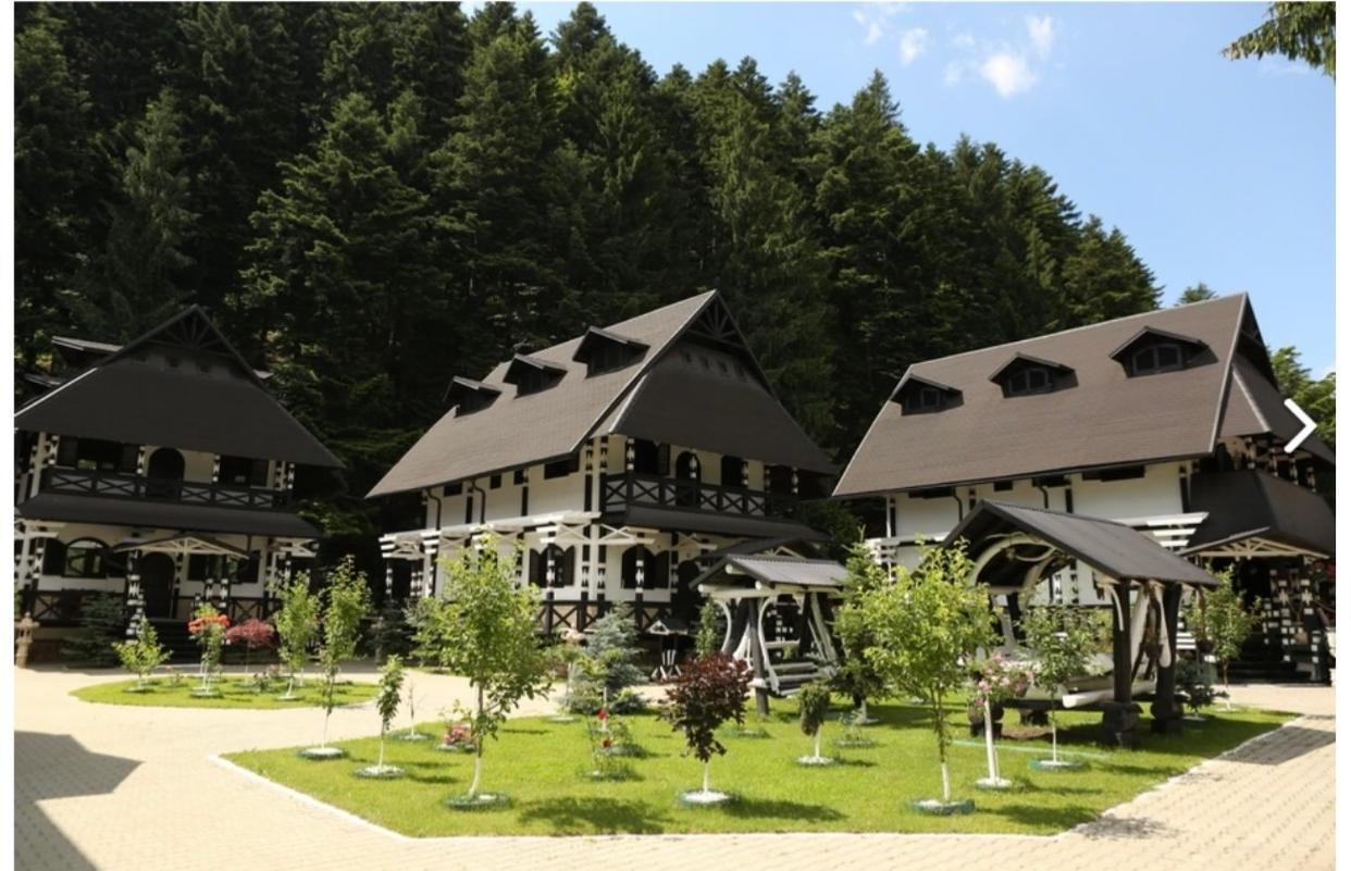 Complex Lions Bucovina Hotel Voronet Exterior photo