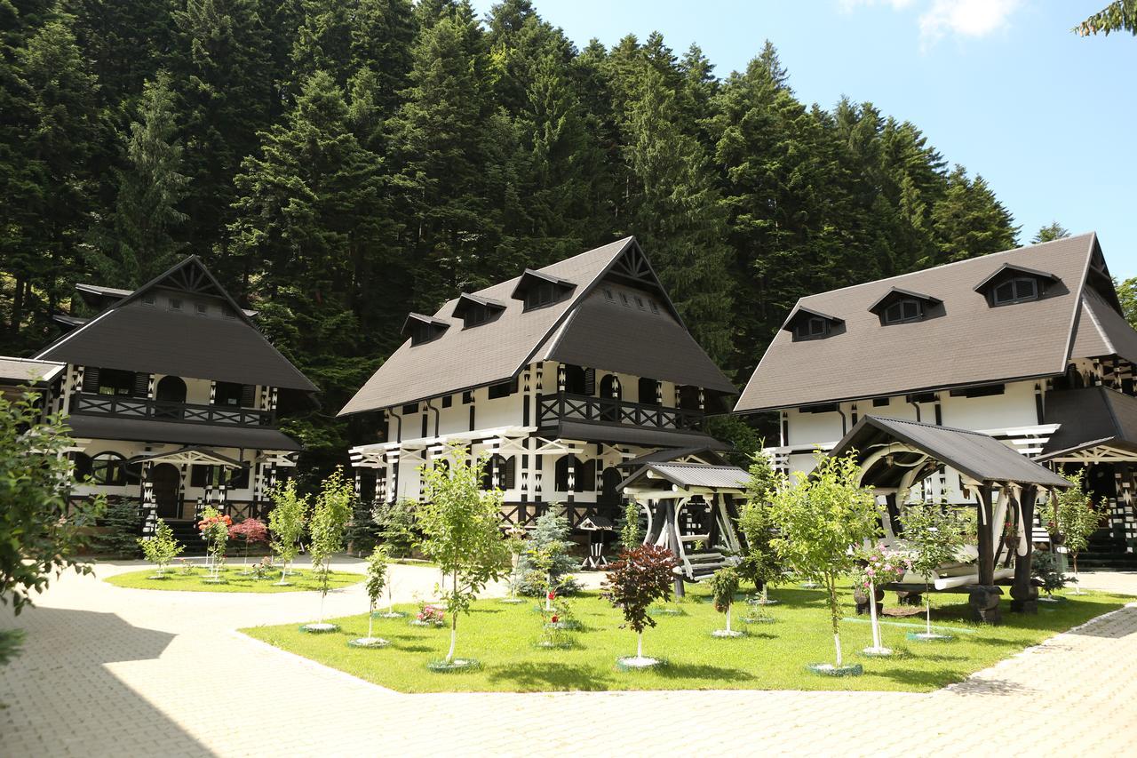 Complex Lions Bucovina Hotel Voronet Exterior photo