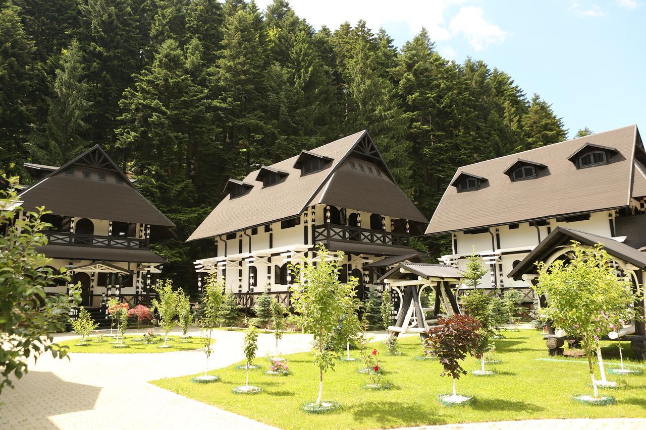 Complex Lions Bucovina Hotel Voronet Exterior photo